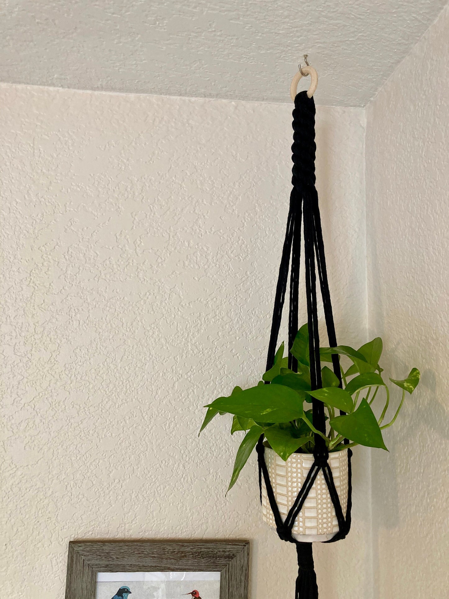 Macrame Plant Hanger