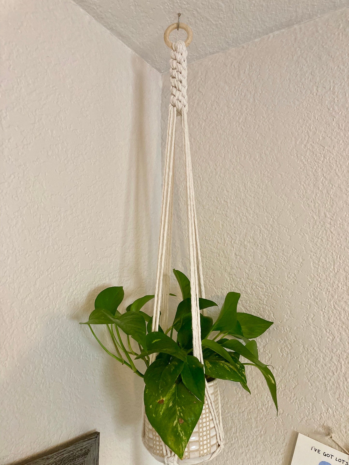 Macrame Plant Hanger