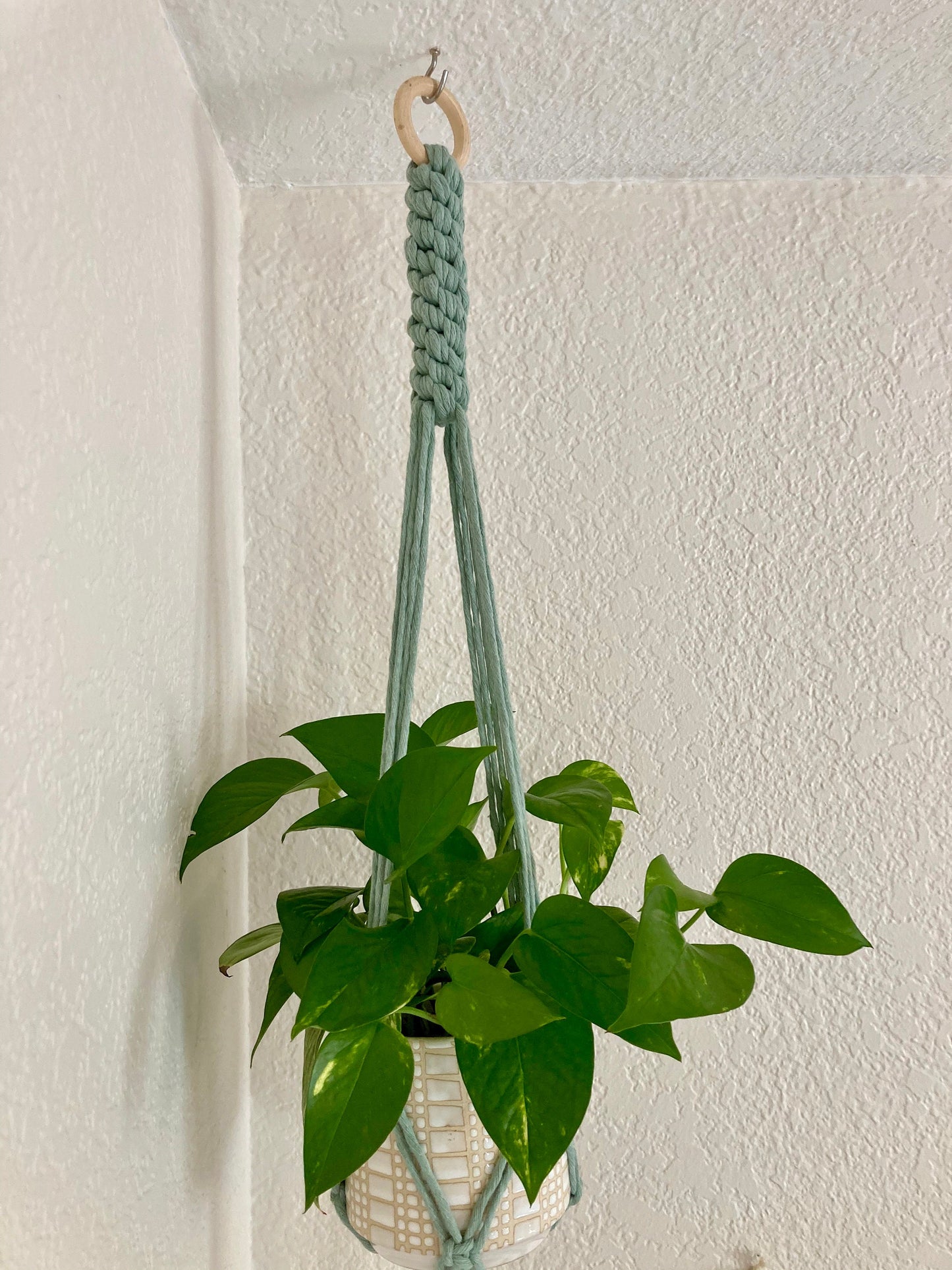 Macrame Plant Hanger