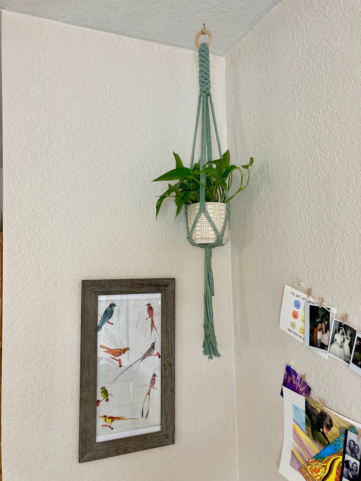 Macrame Plant Hanger