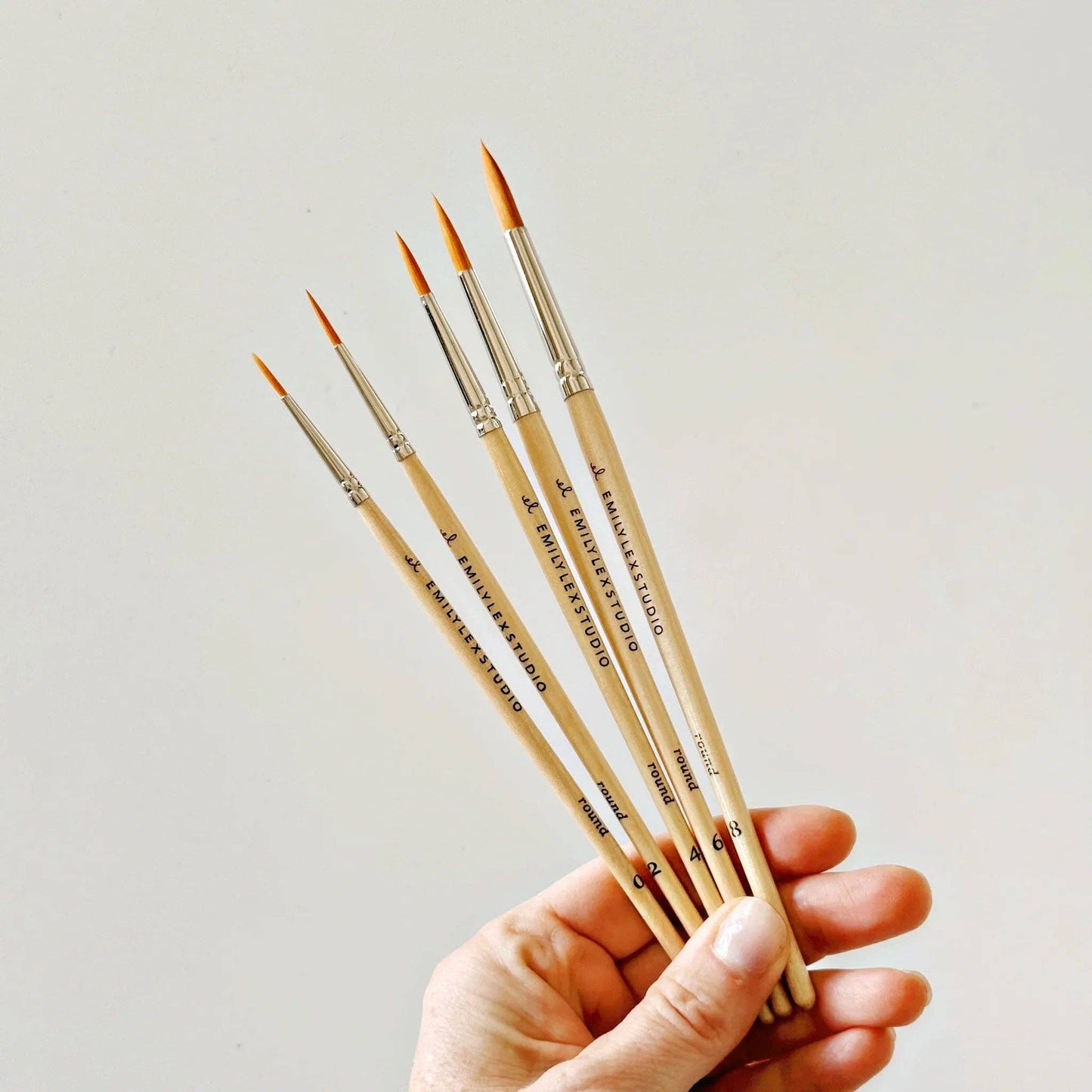 Watercolor Paintbrush Set of Five Brushes