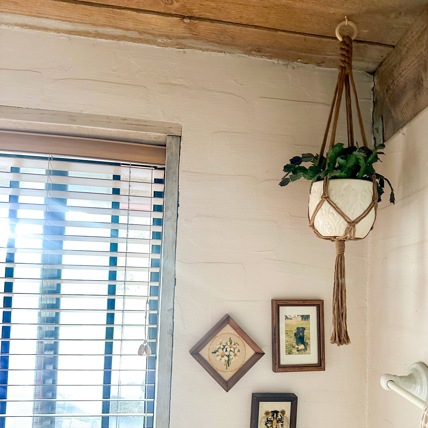 Hanging plant in a macrame holder with framed pictures on a wall next to a window with blinds.